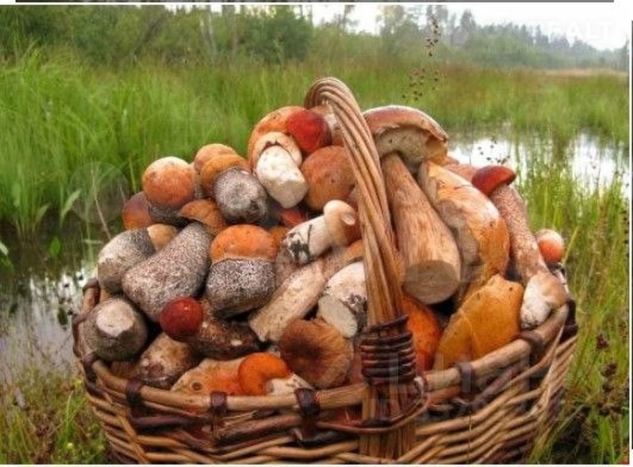 Корзина с грибочками