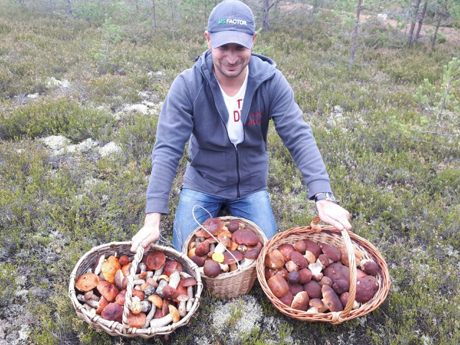 Опята в корзинке