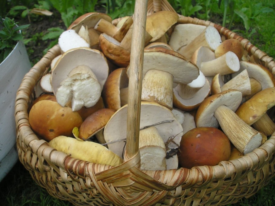 Плетеная корзина с пирожками