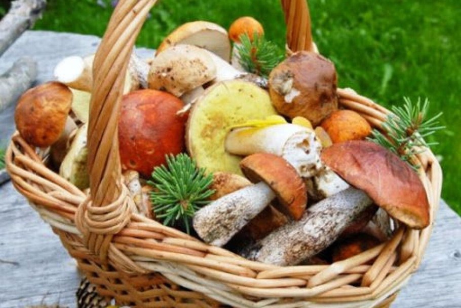 Грибы в корзине