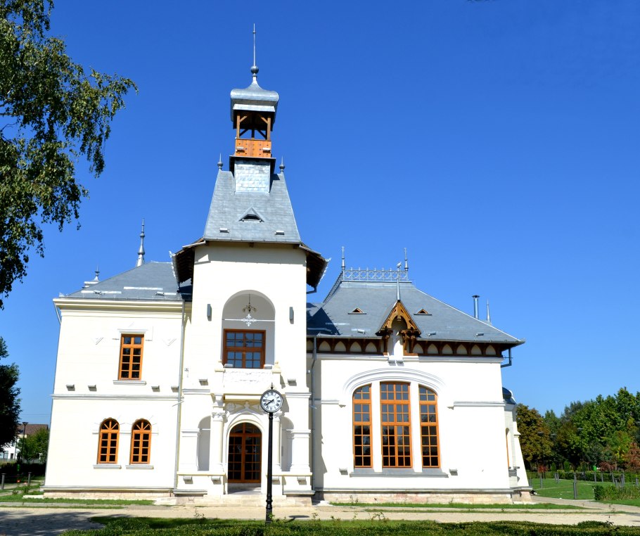 Снимок грибов сухарик