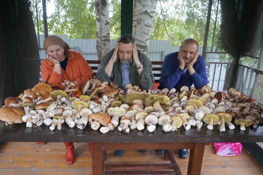 Много грибов