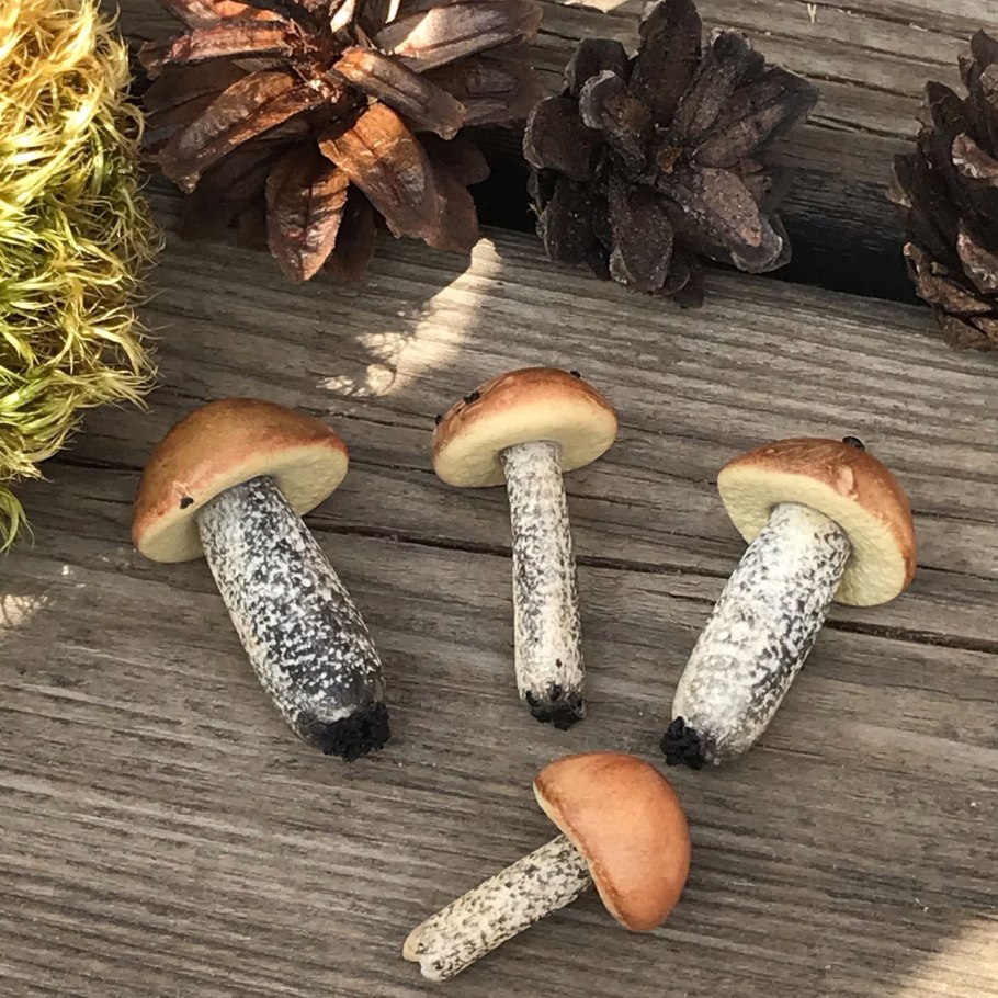 Грибы из полимерной глины