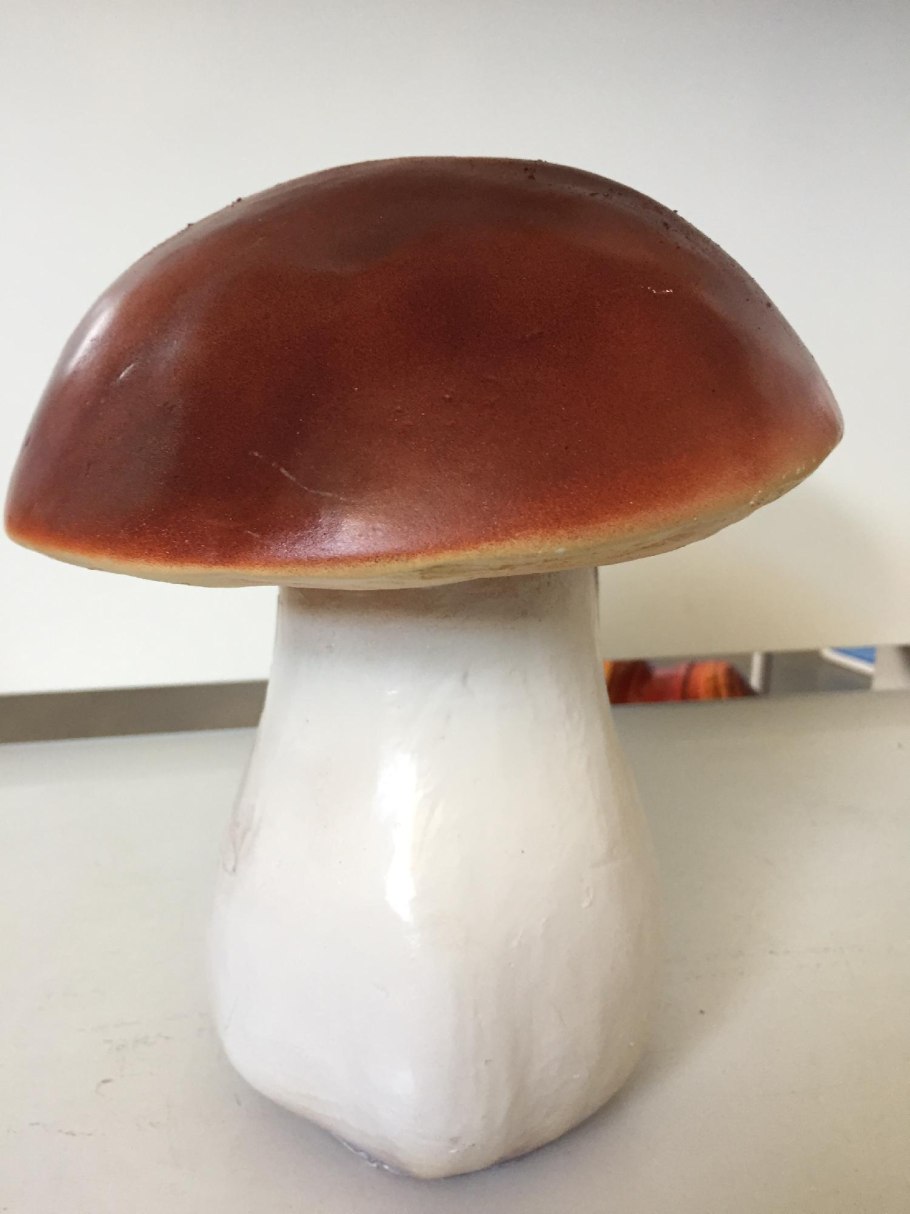 Грибок Боровик