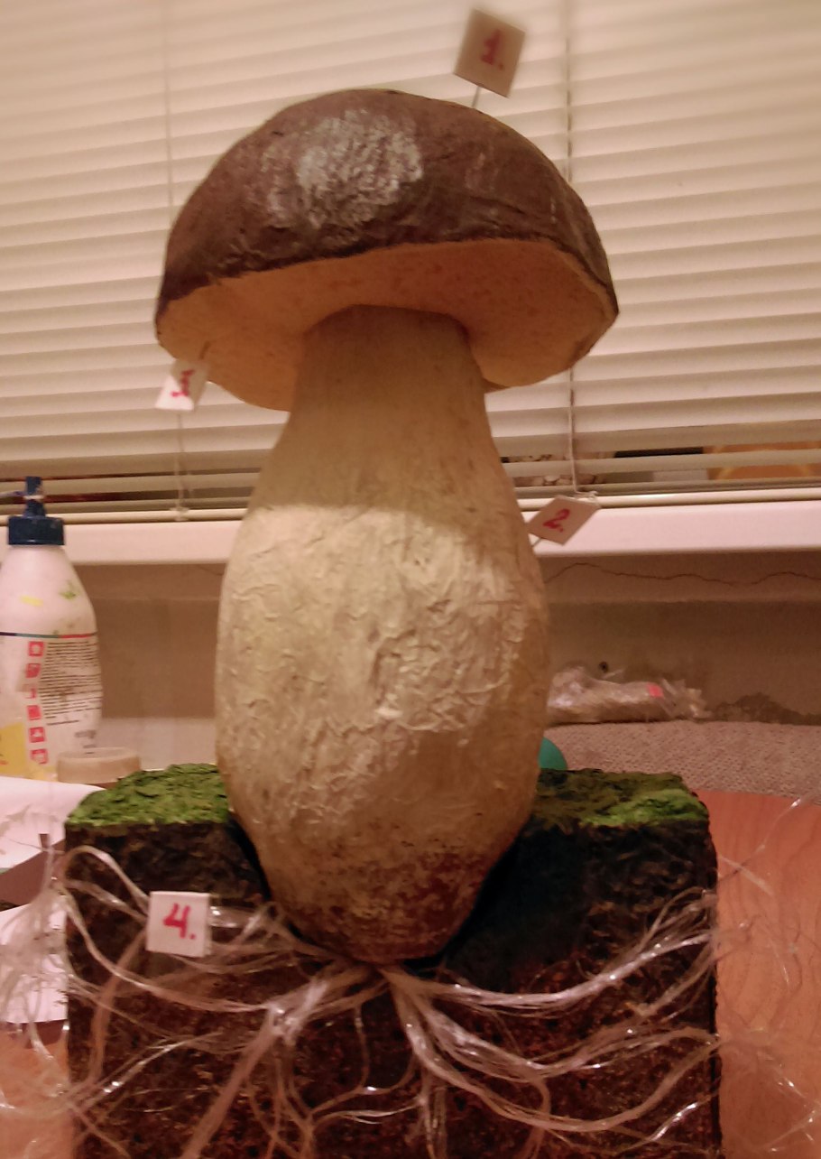 Макет гриба