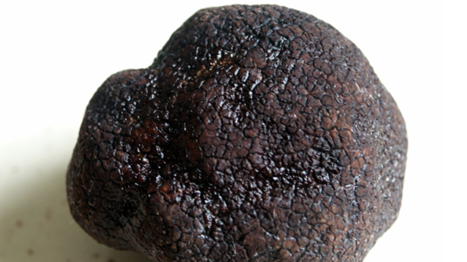 Фестиваль белых трюфелей (Alba White Truffle International Festival) - Италия