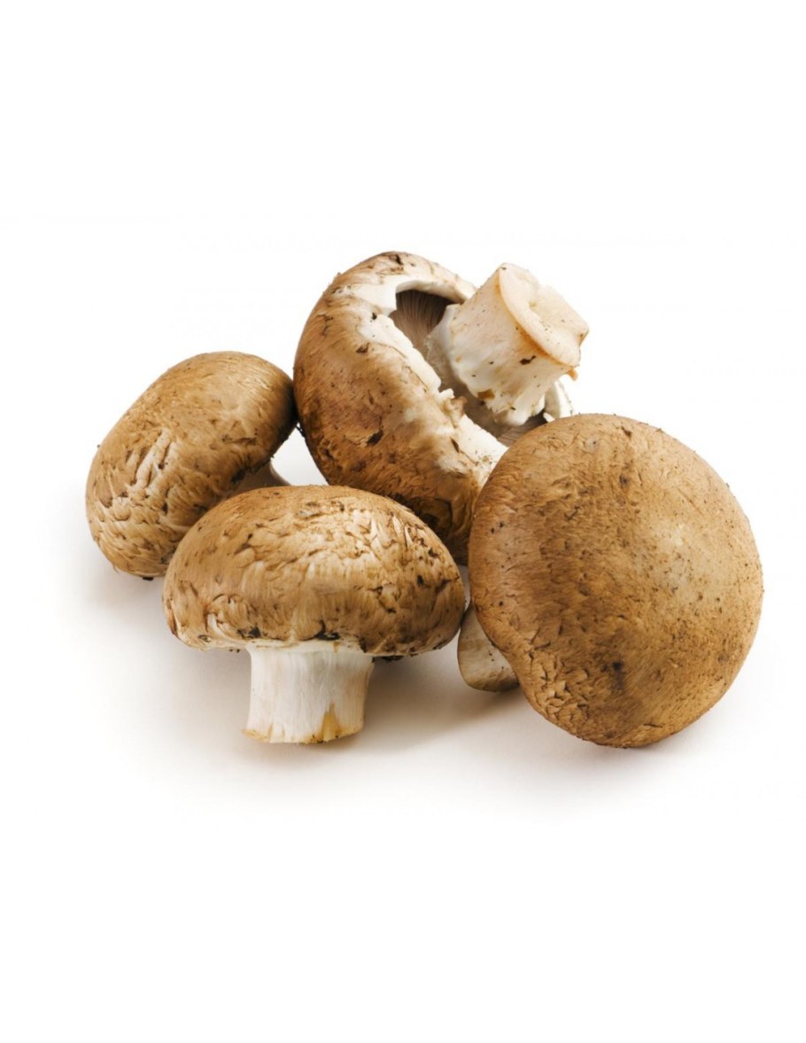 Шампиньоны развесные купить в Ульяновске