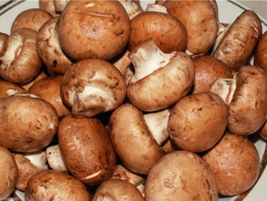 Шампиньоны Королевские свежие 300г