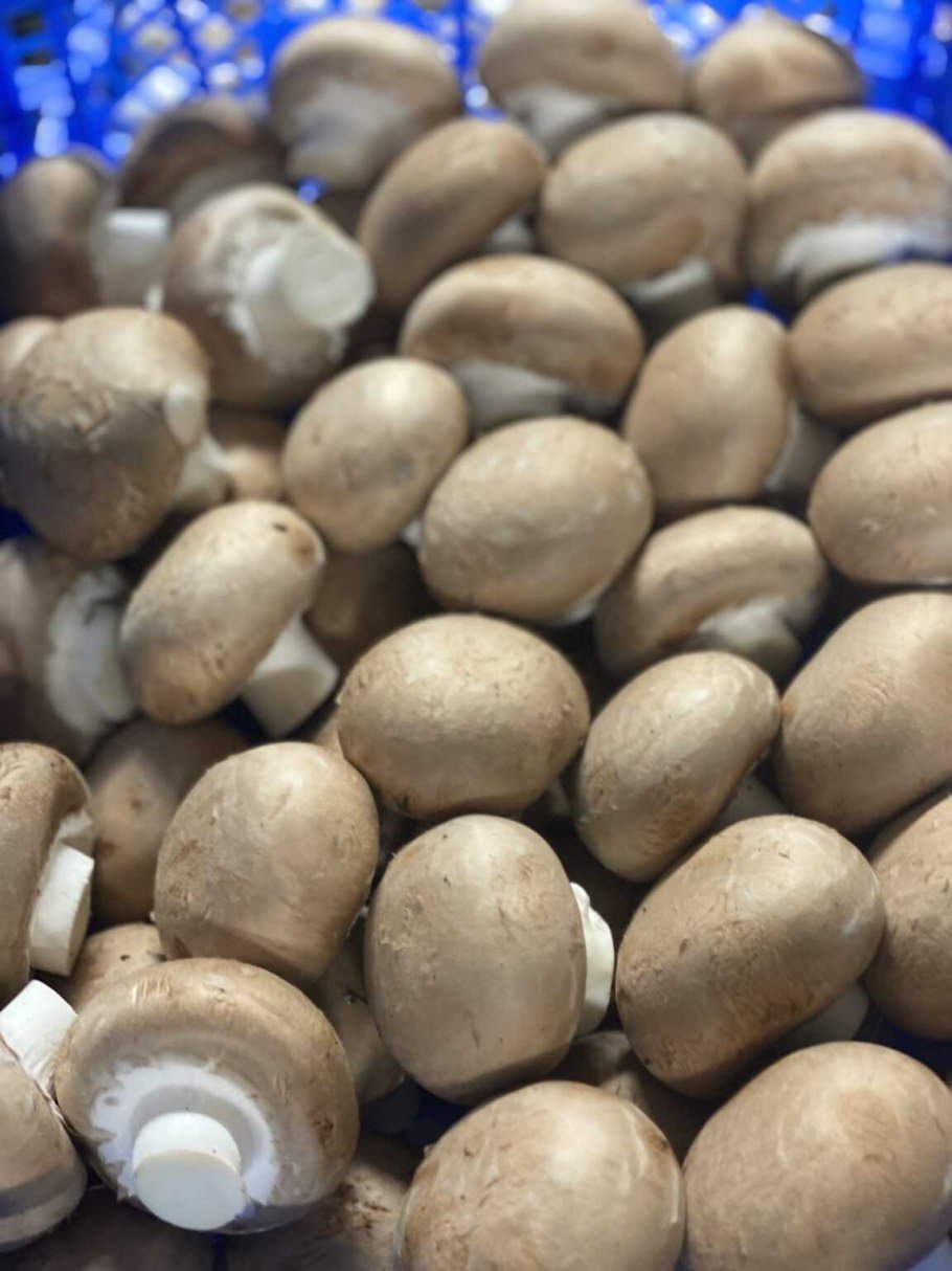 Кирпильский грибной комплекс