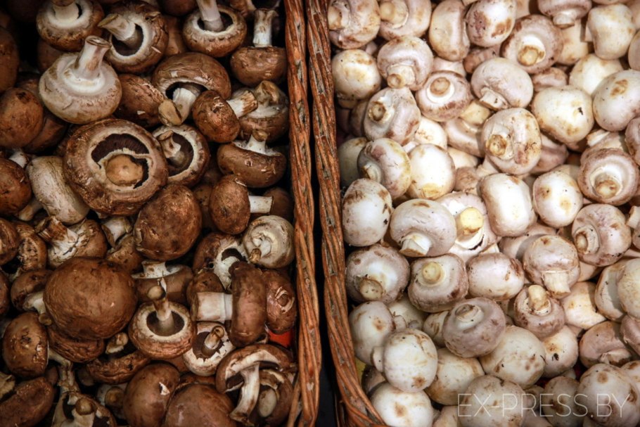 Грибы шампиньоны Королевские