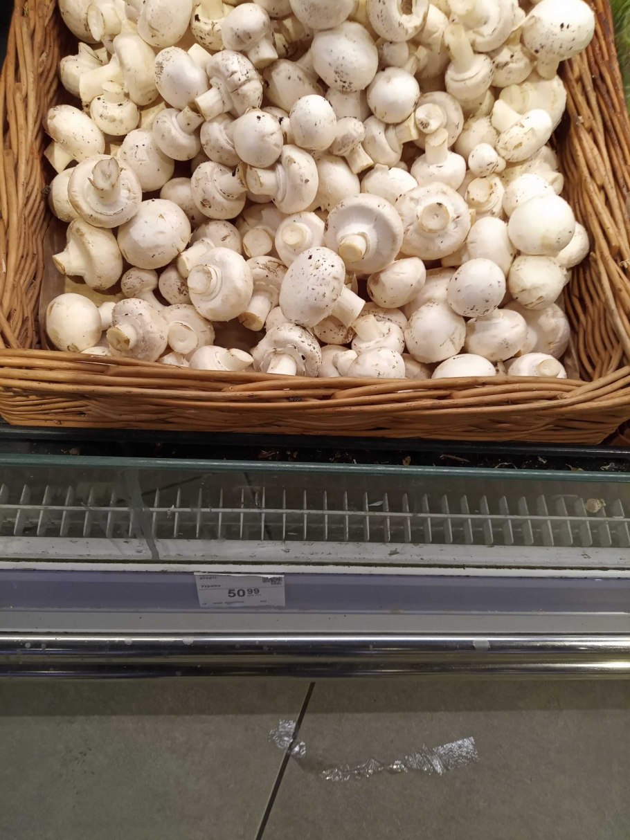 Грибная ферма Дон шампиньон Рязань