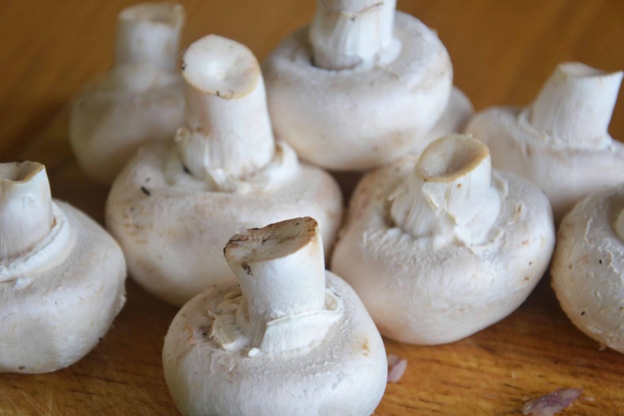 Шампиньон коричневый