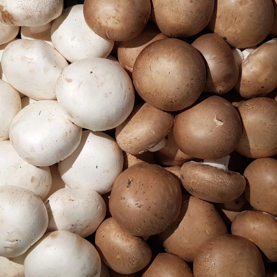 Шампиньоны Королевские и Портобелло