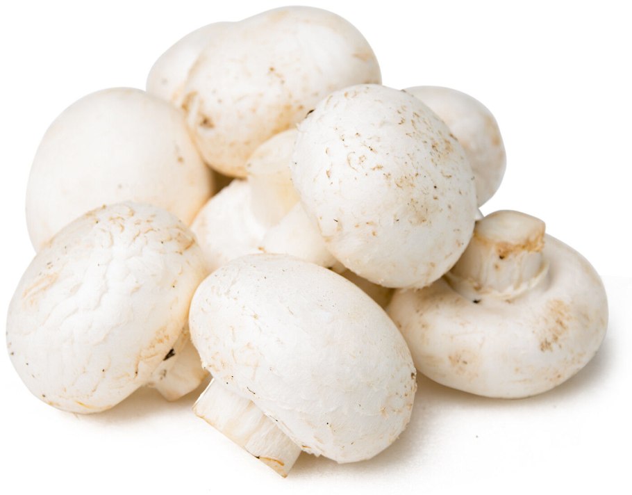 Шампиньоны Портобелло