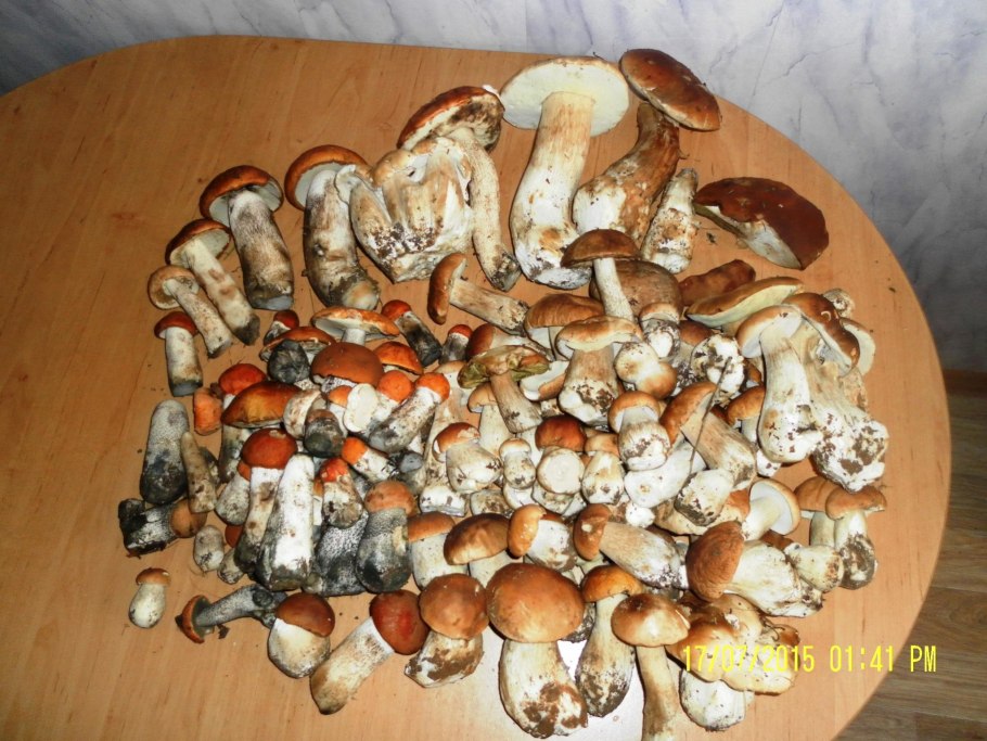 Грибы третьей категории