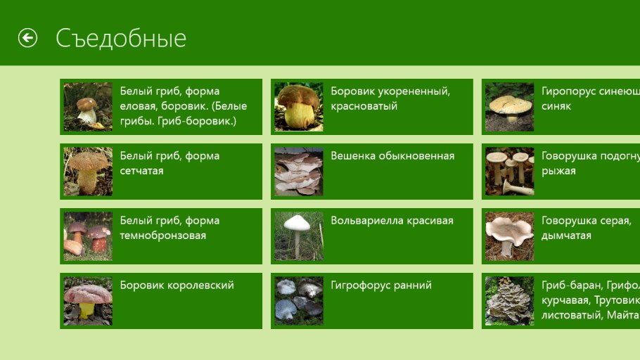 Классификация грибов съедобные и несъедобные