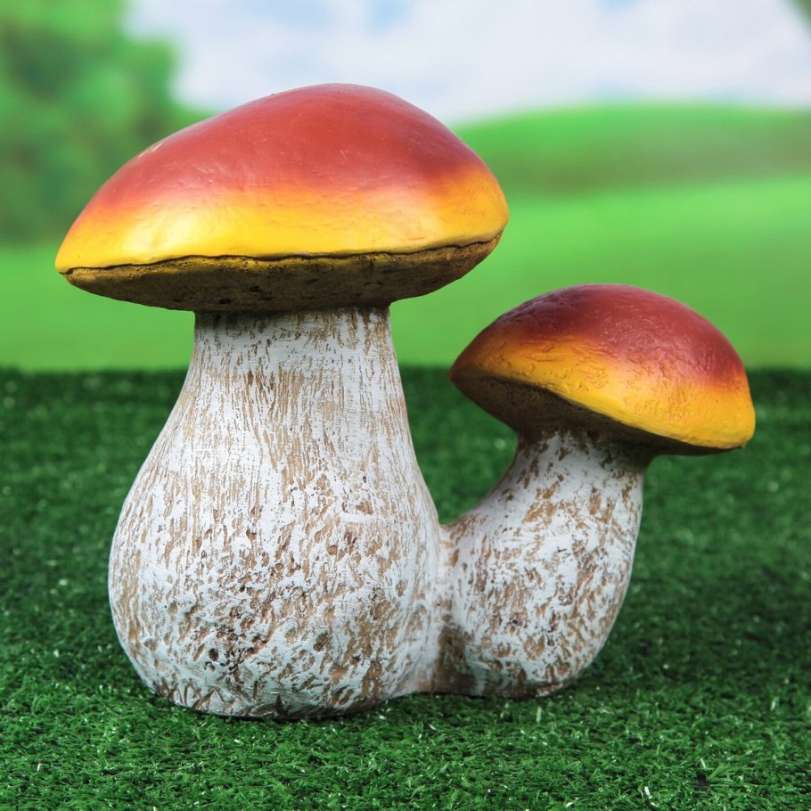 Канадский Боровик гриб