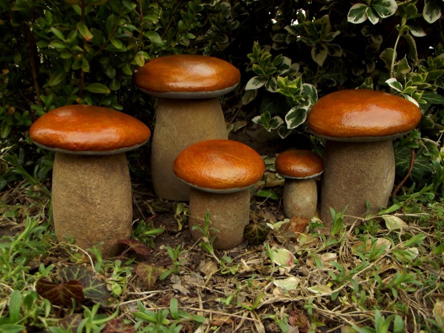 Грибы в цветочных горшках на подоконнике