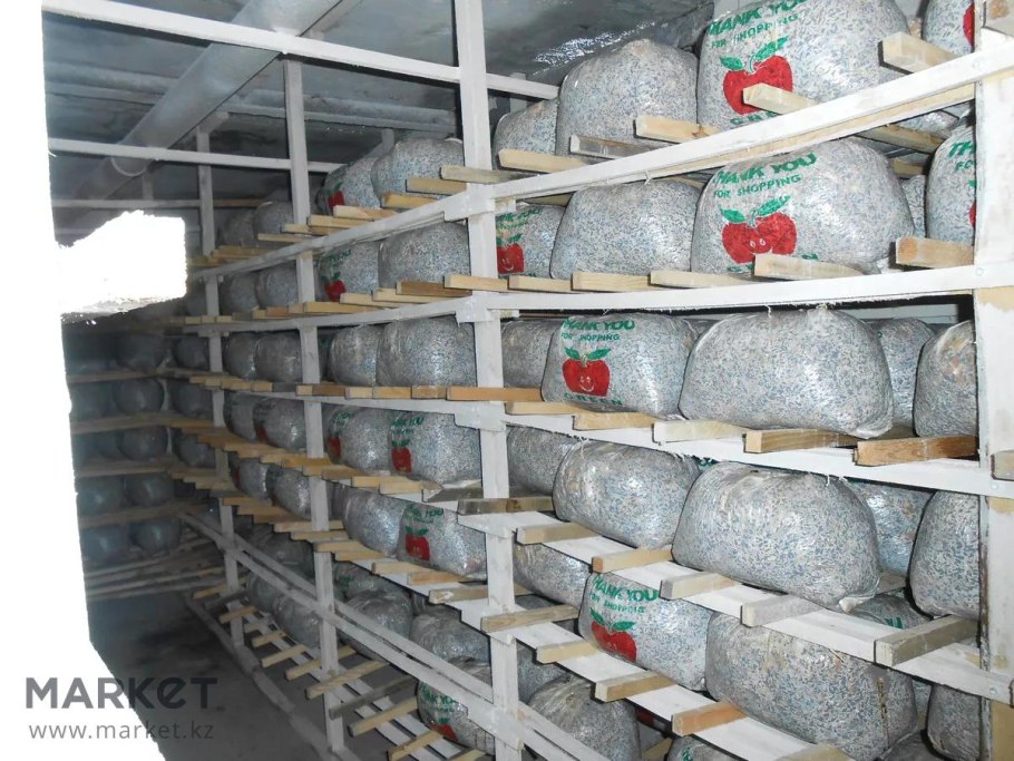 Агрокомплекс Трегубово грибная ферма