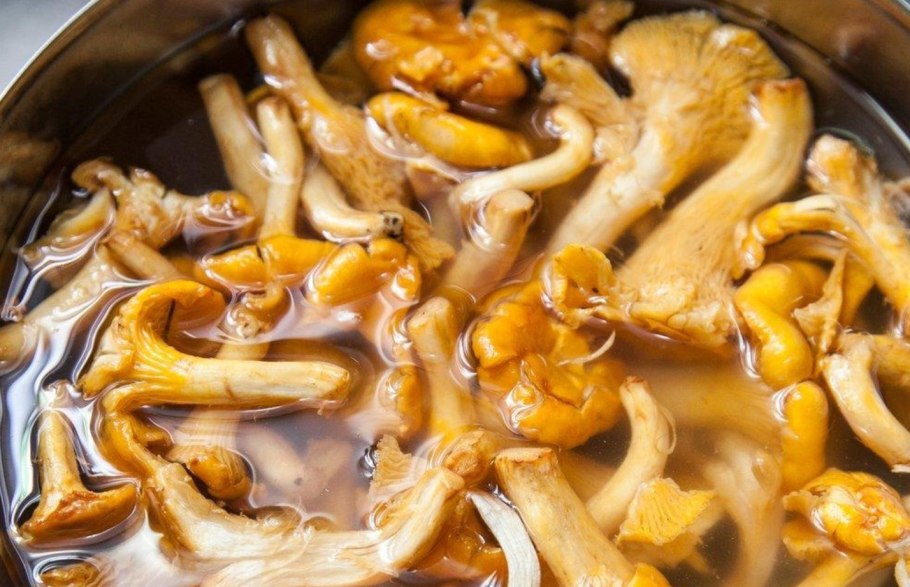 Сваренные грибы