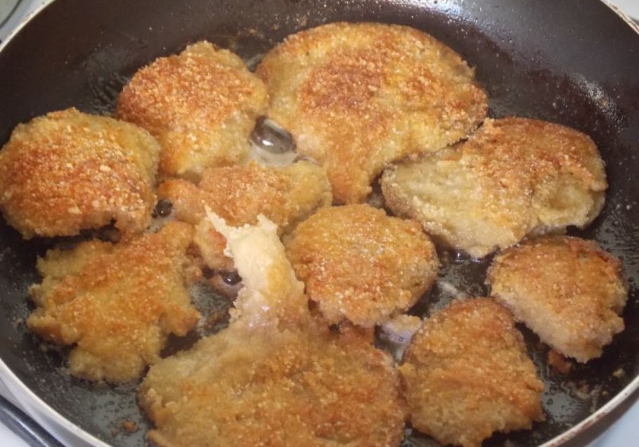 Гриб зонтик пестрый молодой