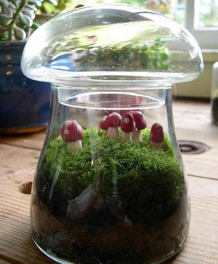 Вырастить мухоморы