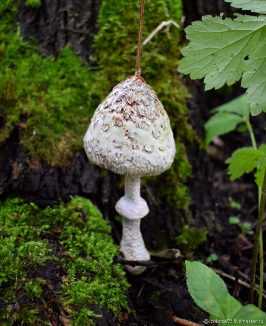 Лепиота кирпично-красная