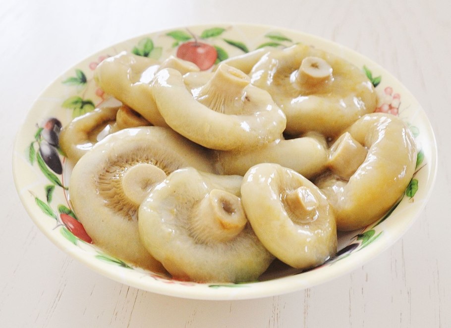 Грибы по категориям с фото