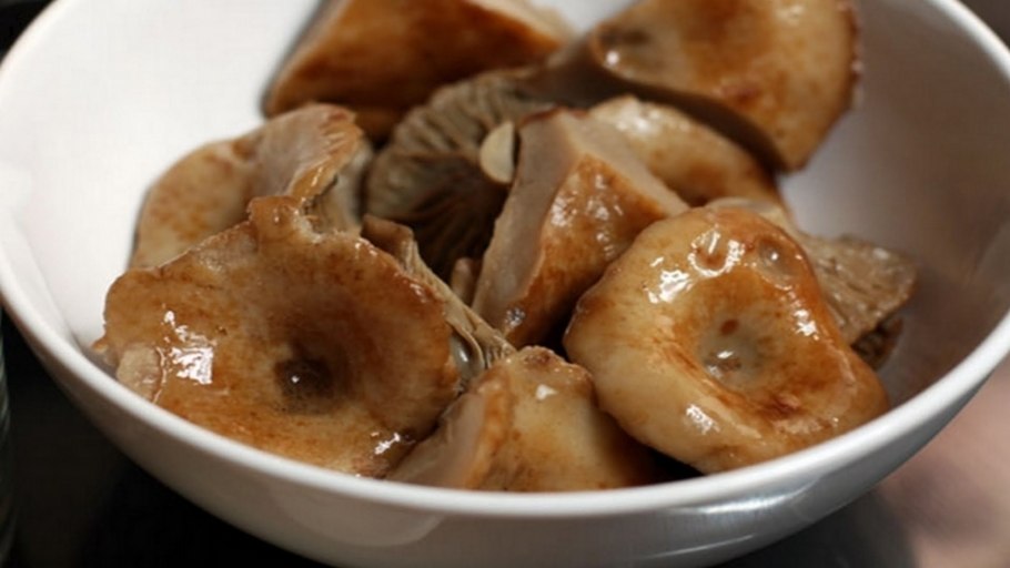 Грибы в Тюмени съедобные