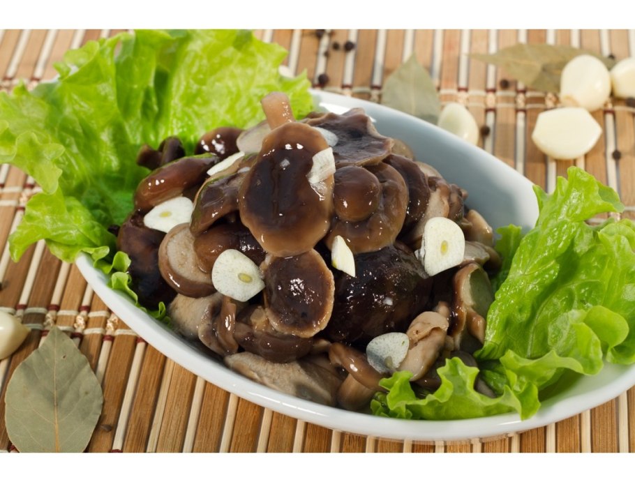 Грузди Бердск