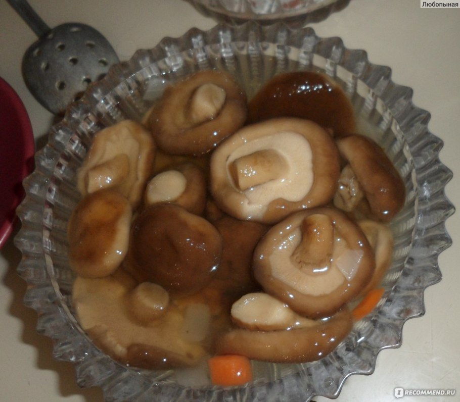 Грузди Таежные на тарелке