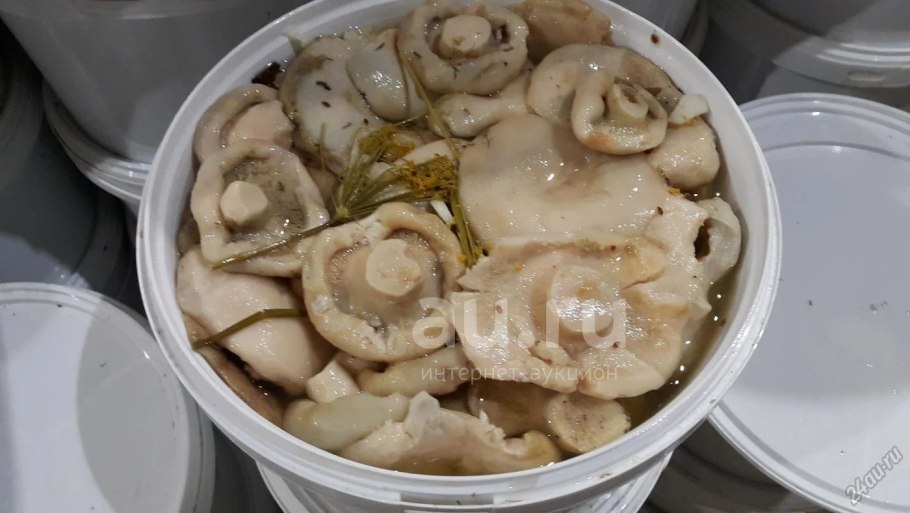 Квашеные грузди