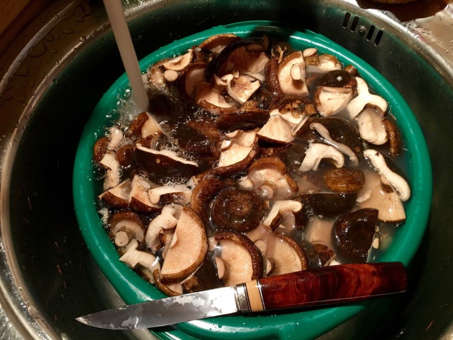 Черные грузди