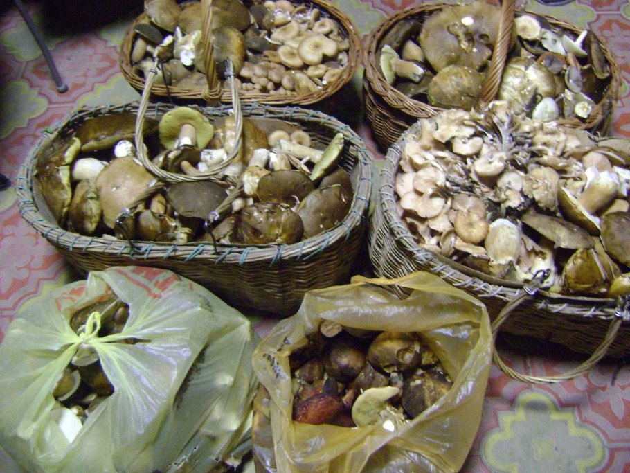 Корзинка с грибами