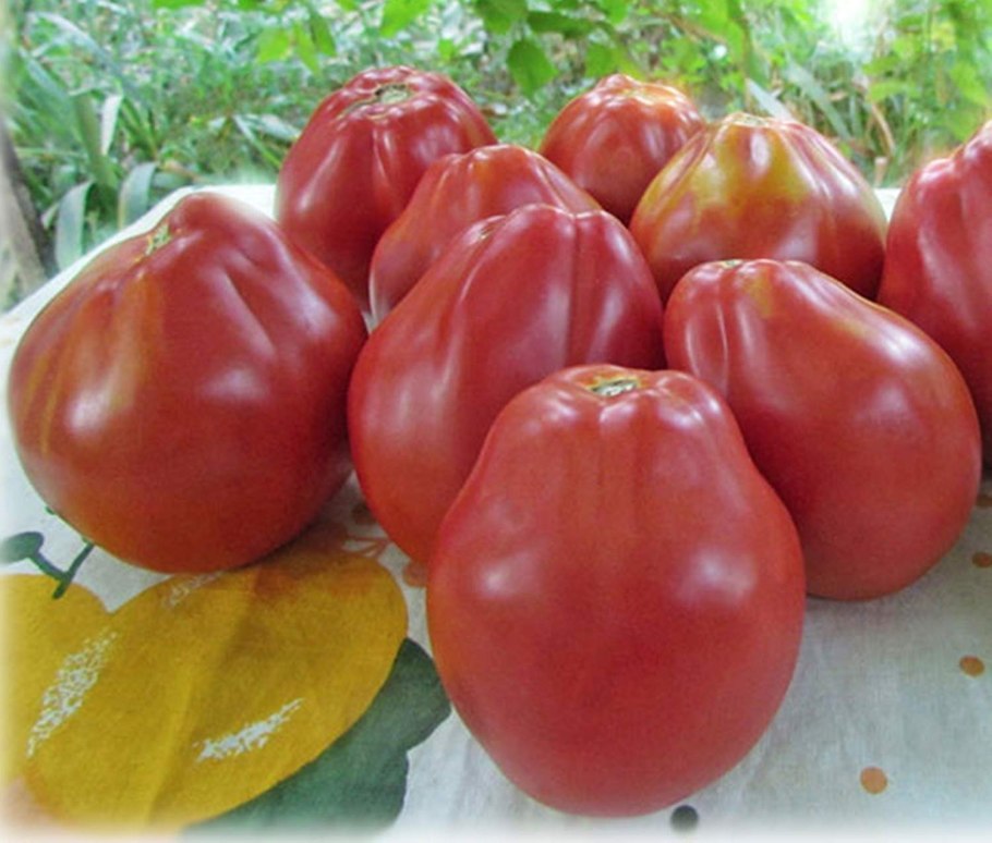 Томат японский трюфель красный