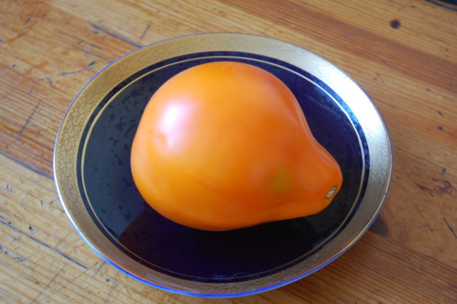 Томат трюфель желтый