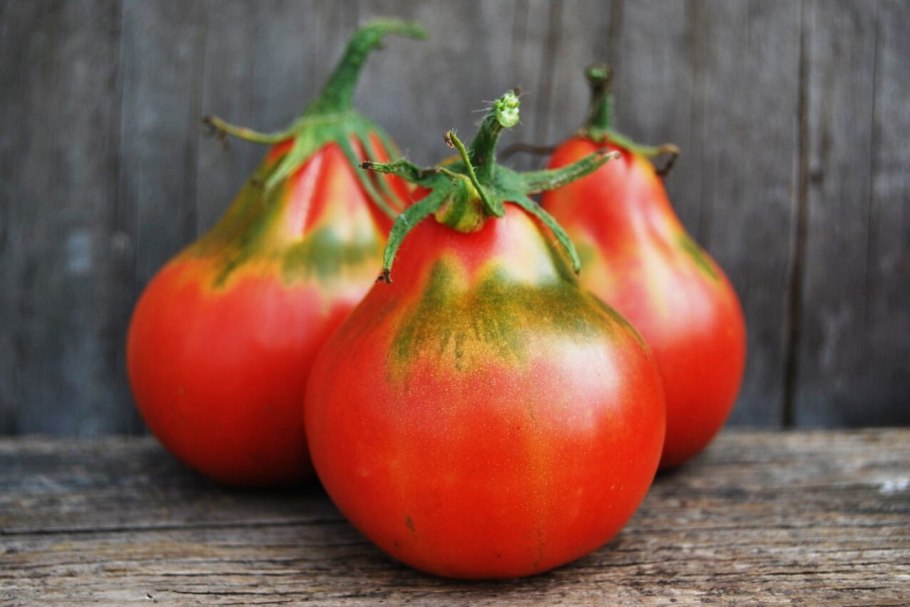 Томат японский трюфель розовый