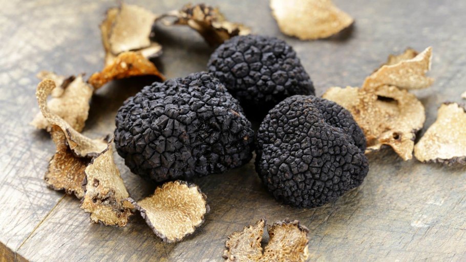 Черный перигорский трюфель