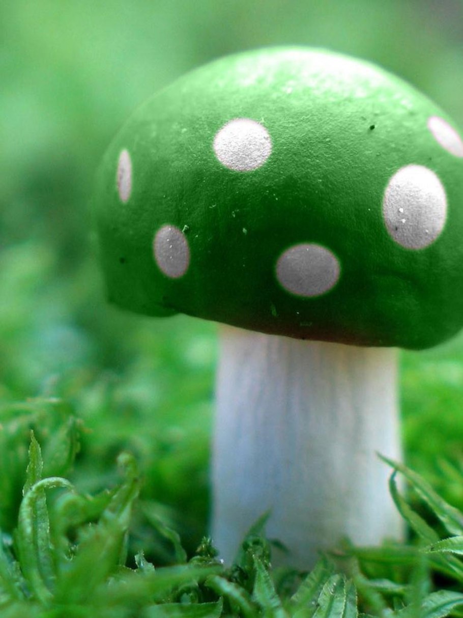 «Гриб дождевик» (Puffball