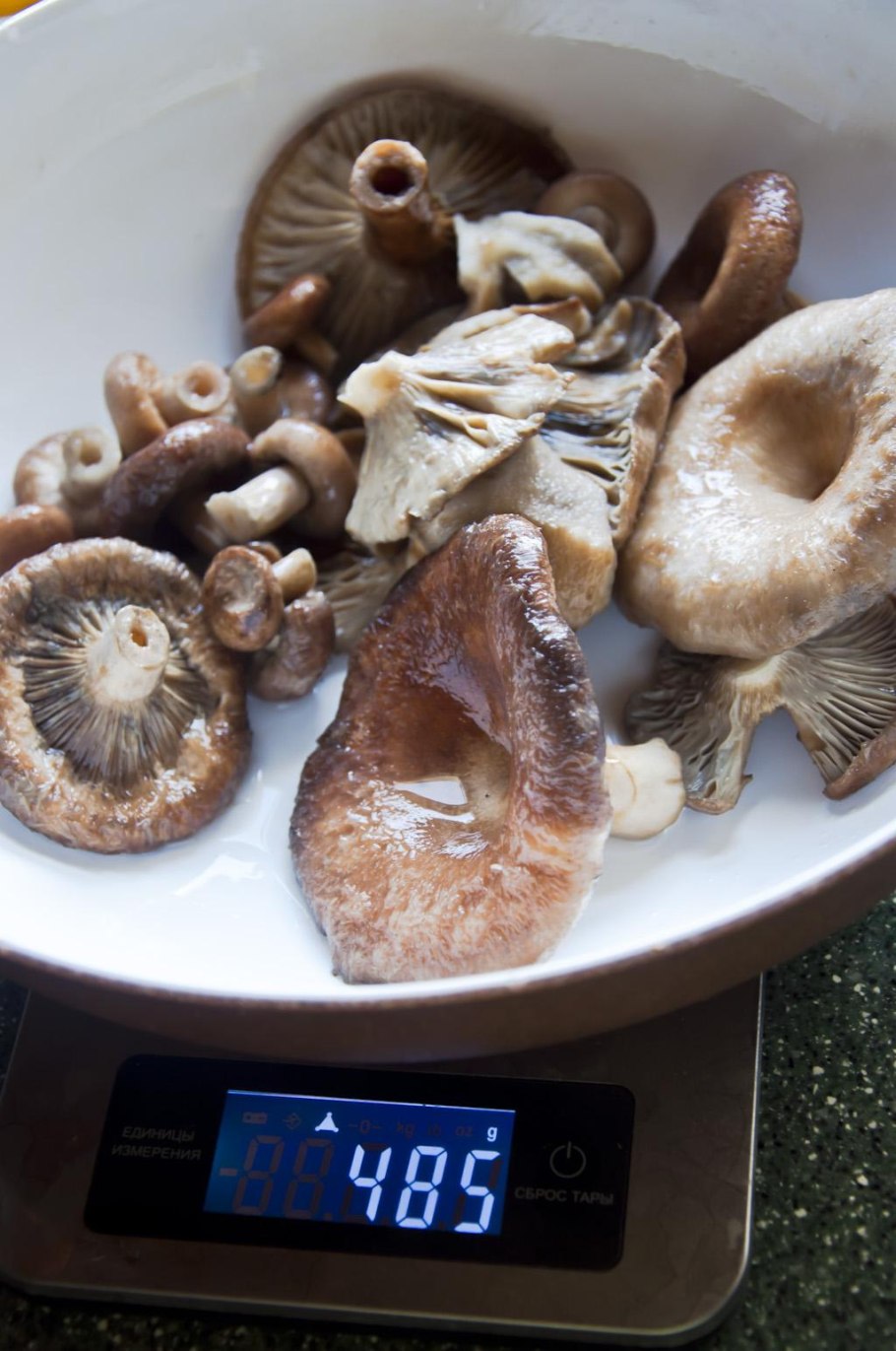 Посол волнушек