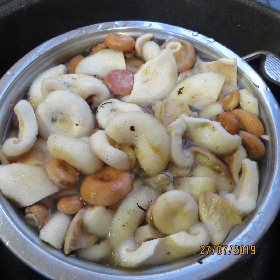 Грузди в томатном соусе