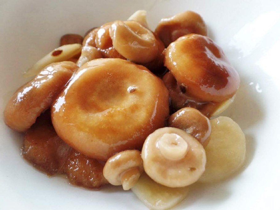 Грибы волнушки засолка