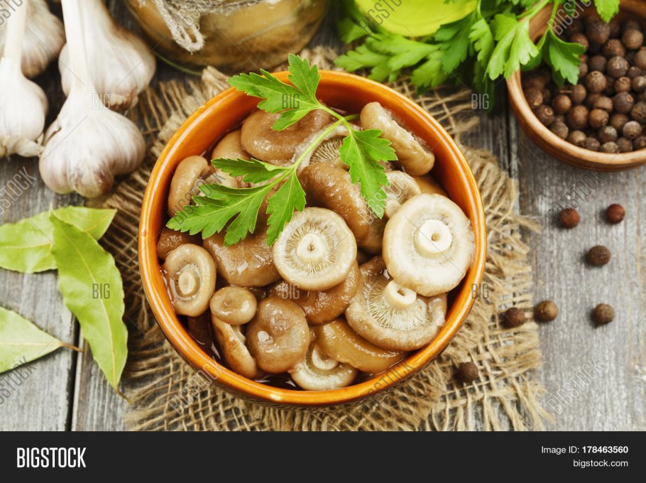 Соленые волнушки