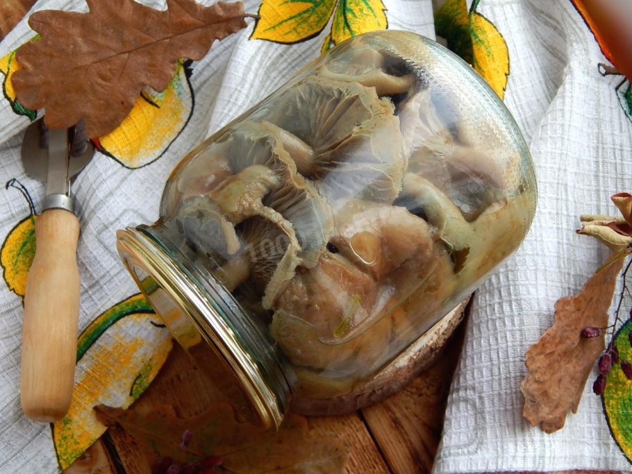 Волнушки и свинушки