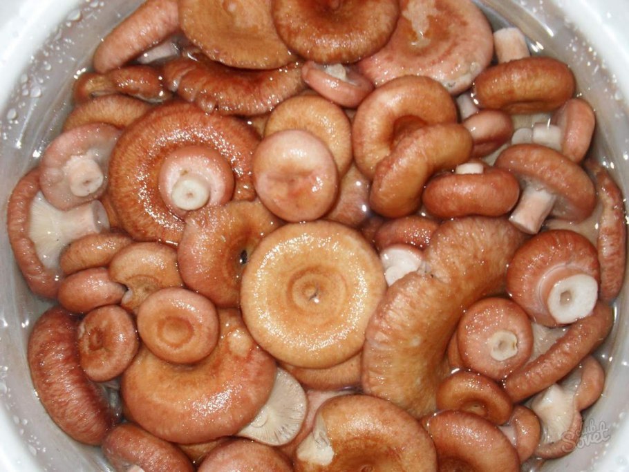 Волнушки грузди соленые