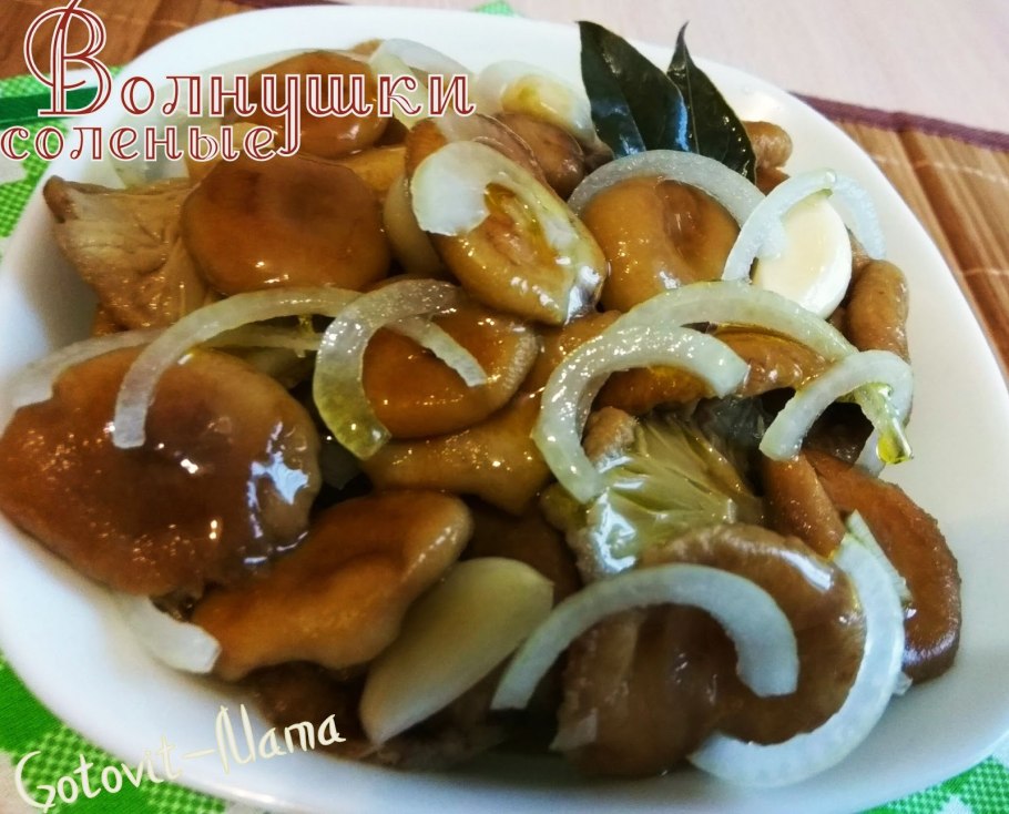 Lactarius torminosus – волнушка