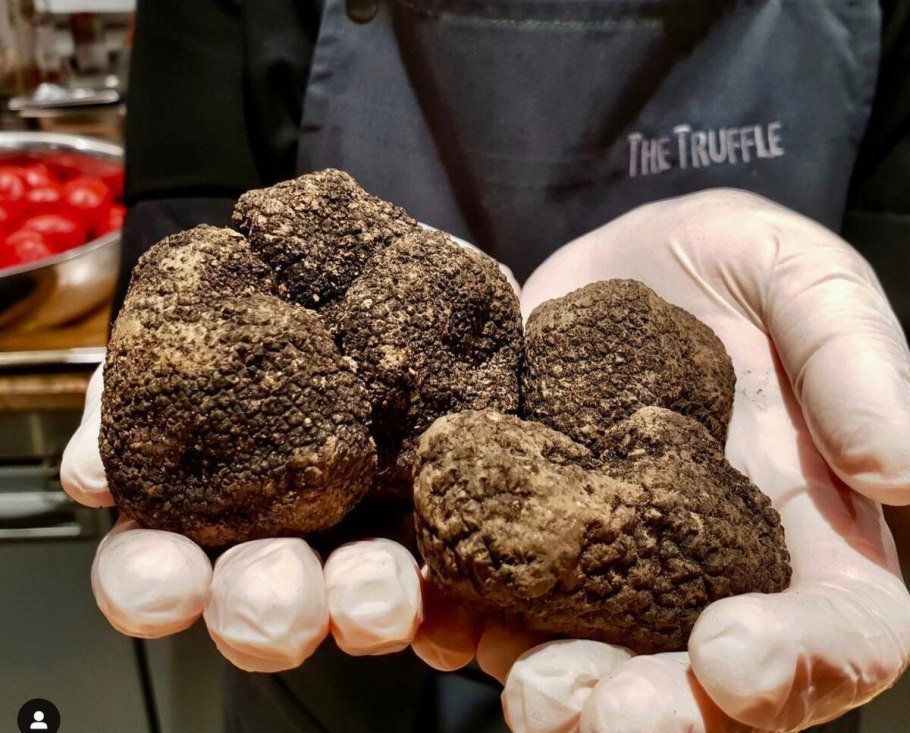 Трюфели французские грибы