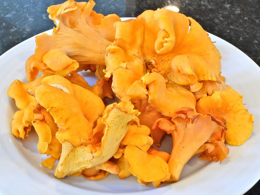 Предмет похожий на трубковидный