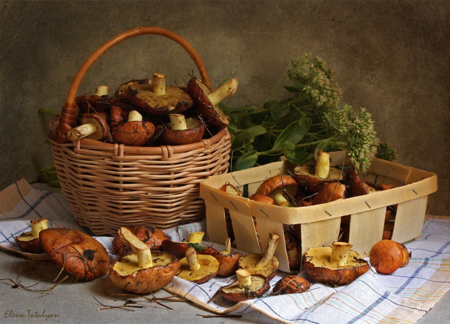 Натюрморт грибы в лукошке