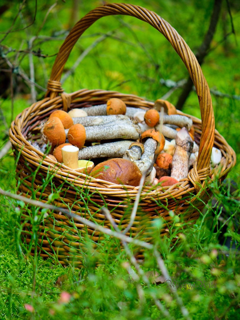 Лукошко для грибов